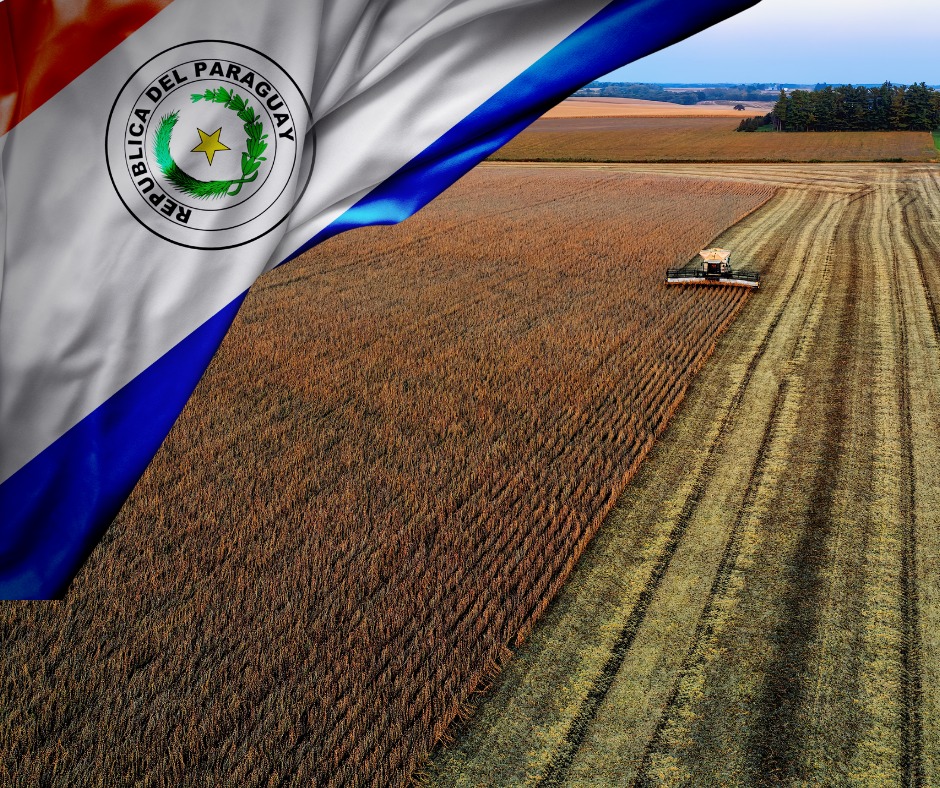 Agricultura en Paraguay - Agroteam S.A.